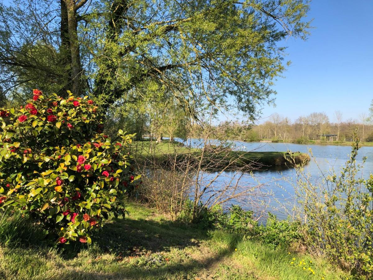 La Francoisiere Bed and Breakfast Loigné-sur-Mayenne Exterior foto